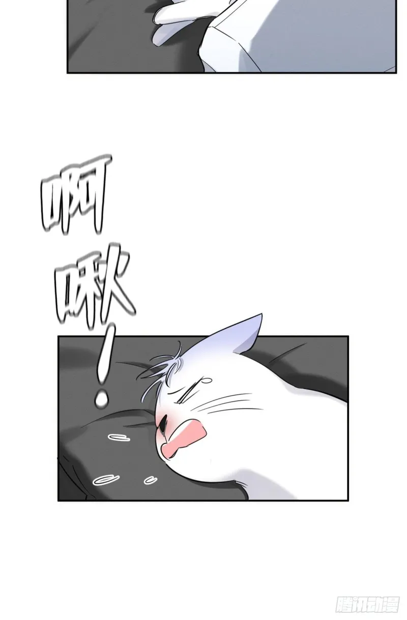 第35话 猫猫病啦 第9页