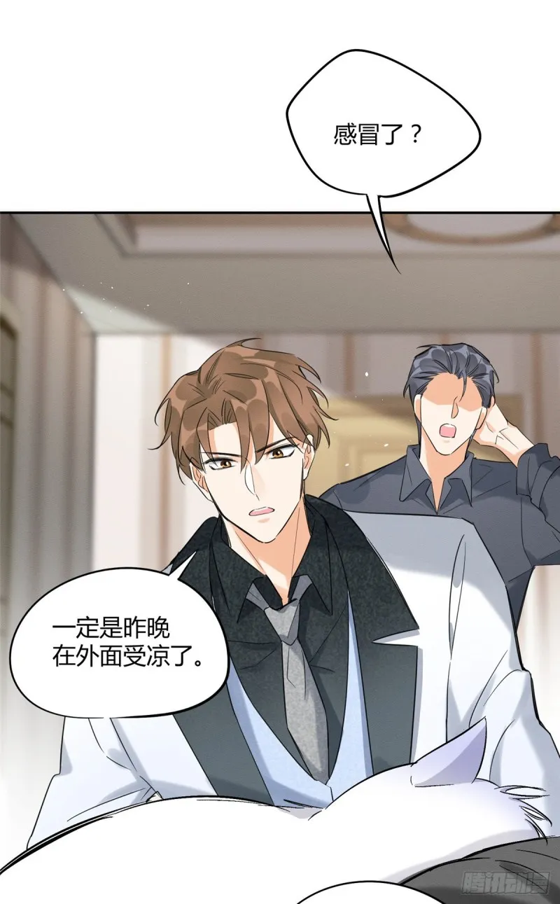 第35话 猫猫病啦 第10页