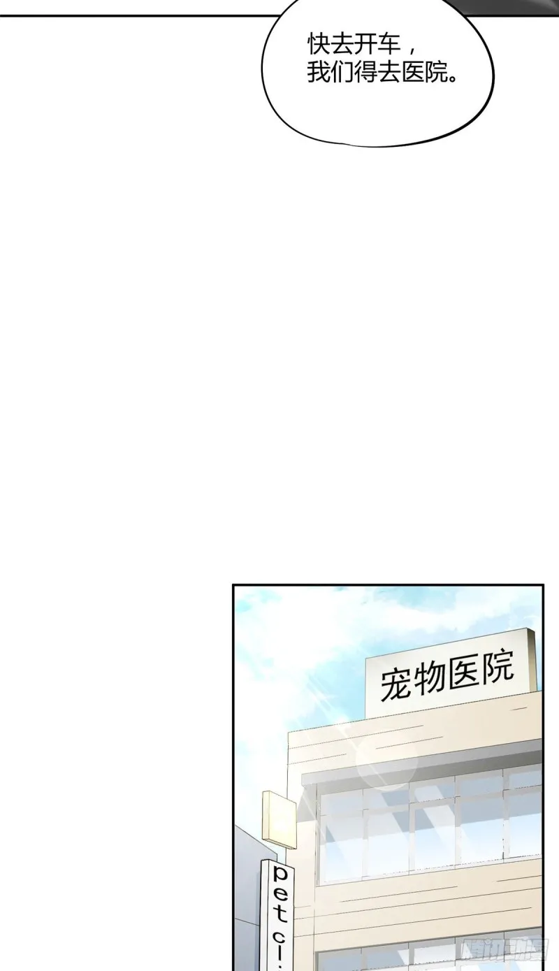 第35话 猫猫病啦 第11页