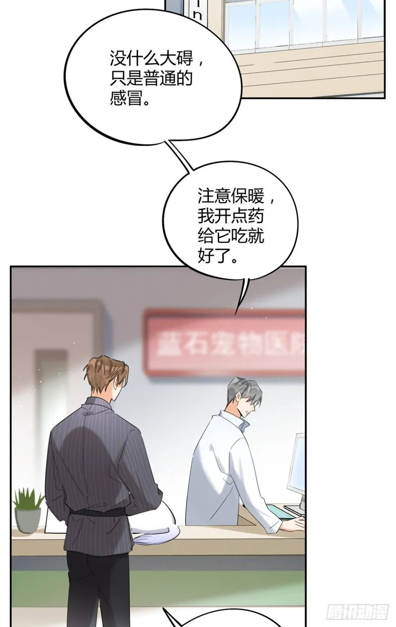 第35话 猫猫病啦 第12页