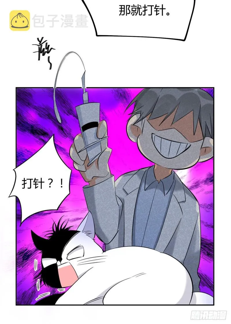 第35话 猫猫病啦 第14页