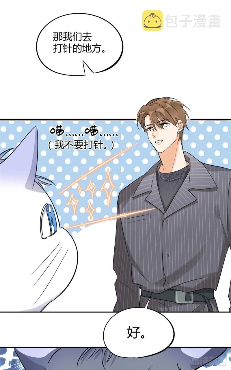 第35话 猫猫病啦 第15页