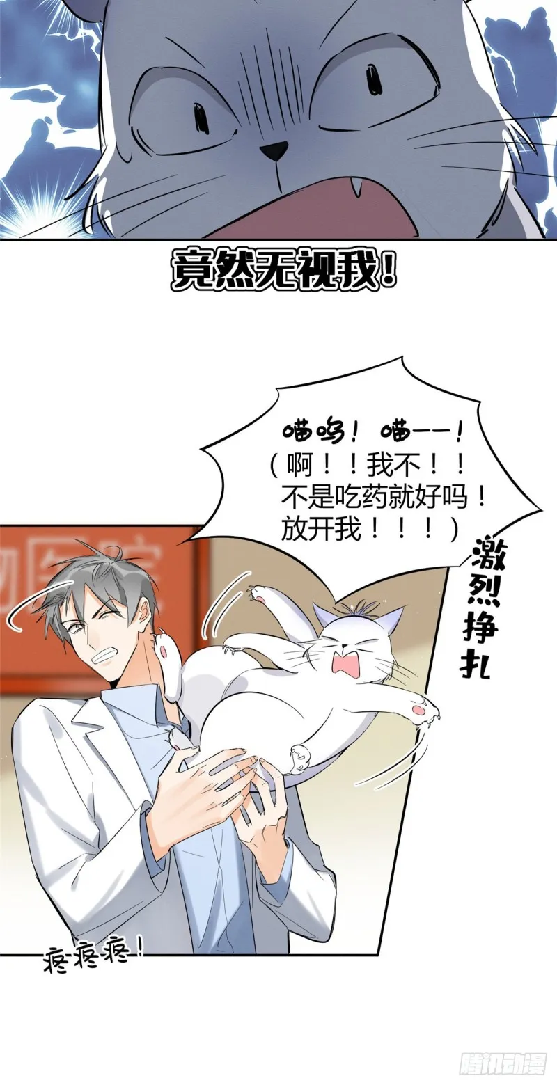 第35话 猫猫病啦 第16页