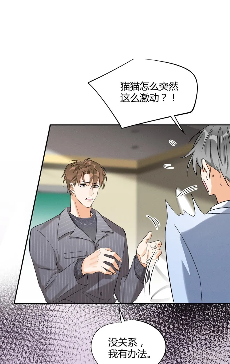 第35话 猫猫病啦 第17页