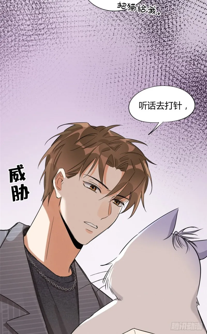 第35话 猫猫病啦 第18页