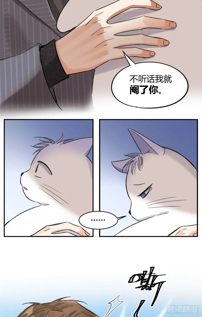 第35话 猫猫病啦 第19页