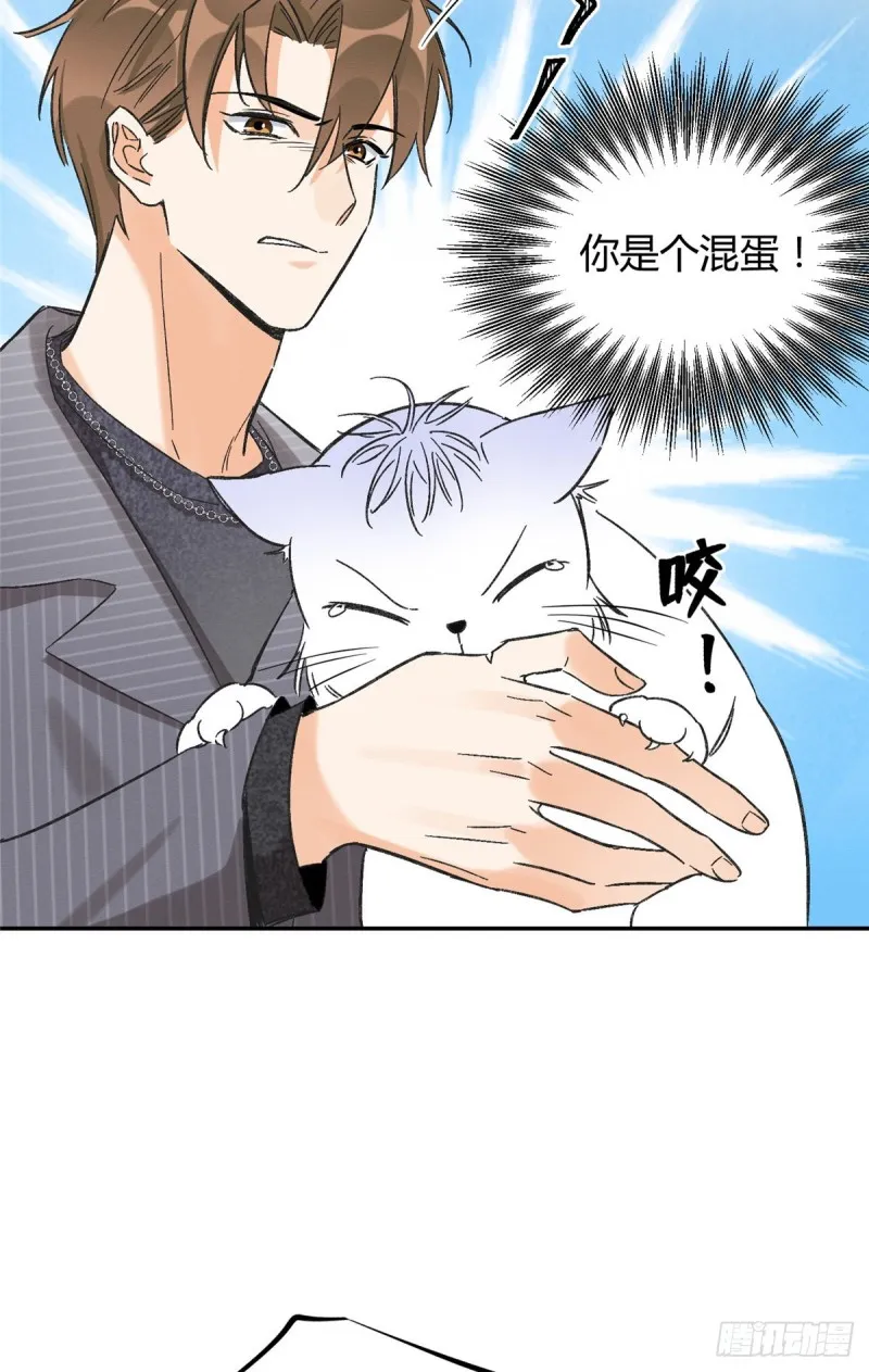 第35话 猫猫病啦 第20页
