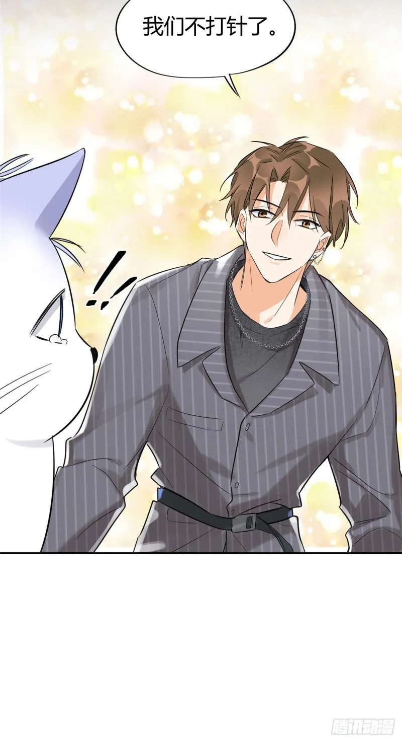 第35话 猫猫病啦 第30页