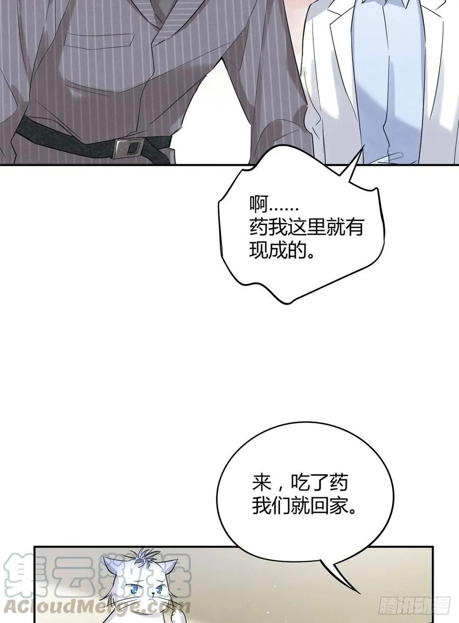 第36话 变成猫怎么恢复？ 第5页