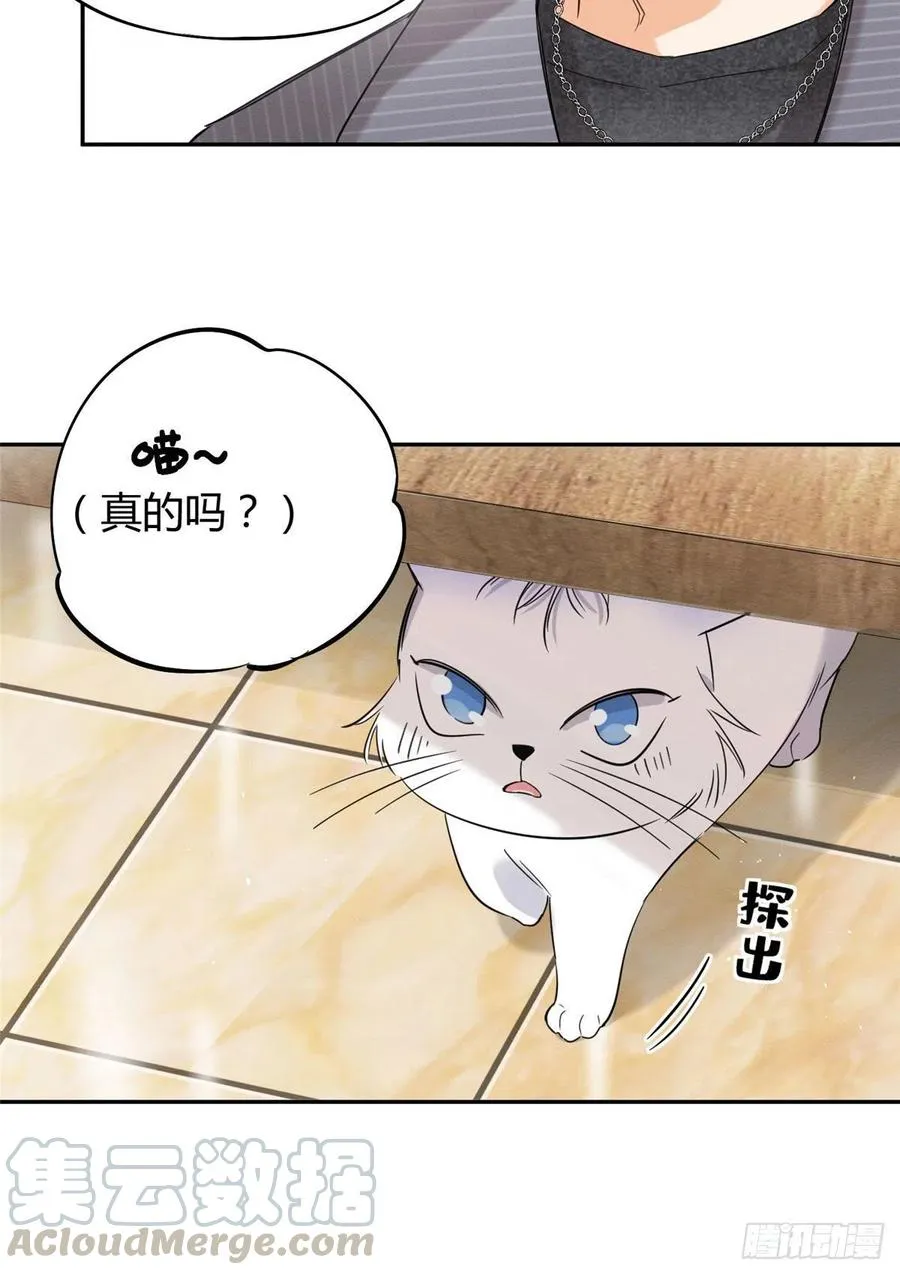 第36话 变成猫怎么恢复？ 第7页