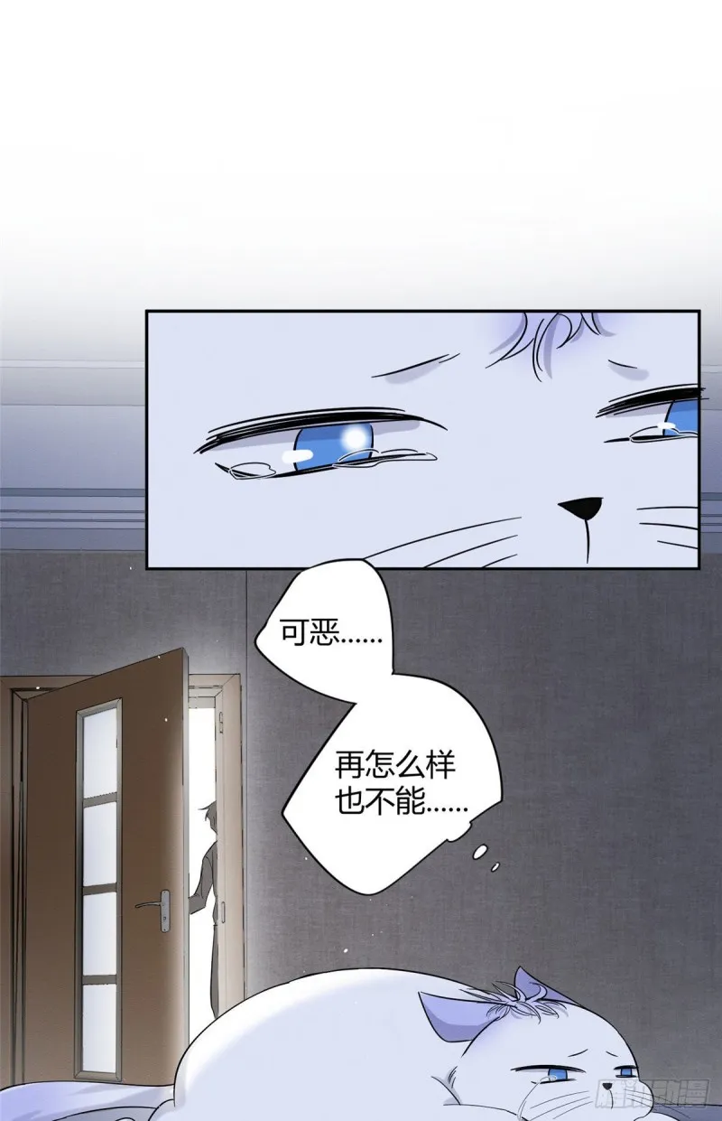 第38话 吻？能醒吗 第35页