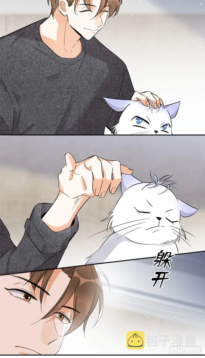 第38话 吻？能醒吗 第38页