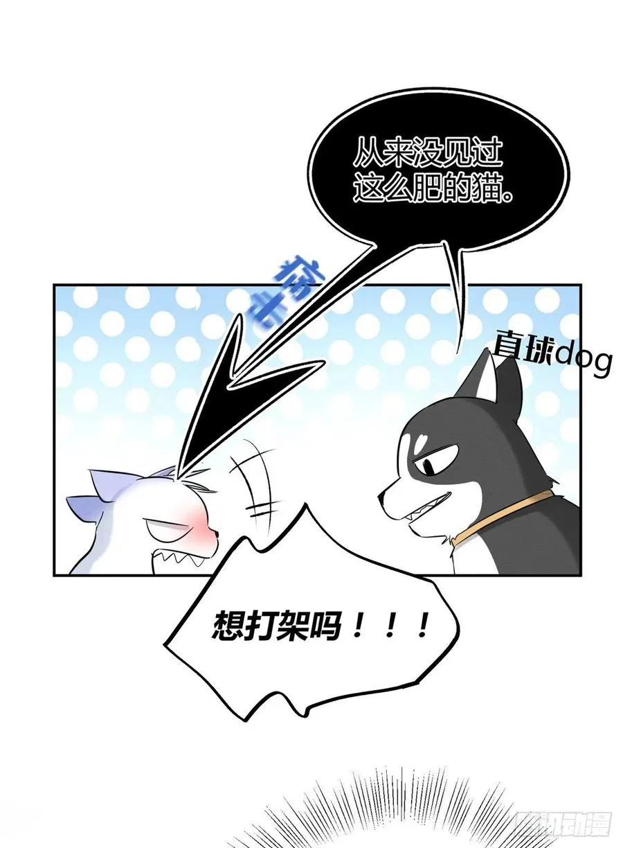 第42话 喜欢的模样 第26页