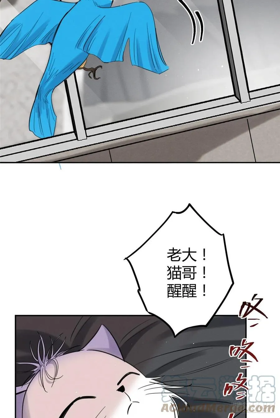 第46话 他舔我！ 第43页