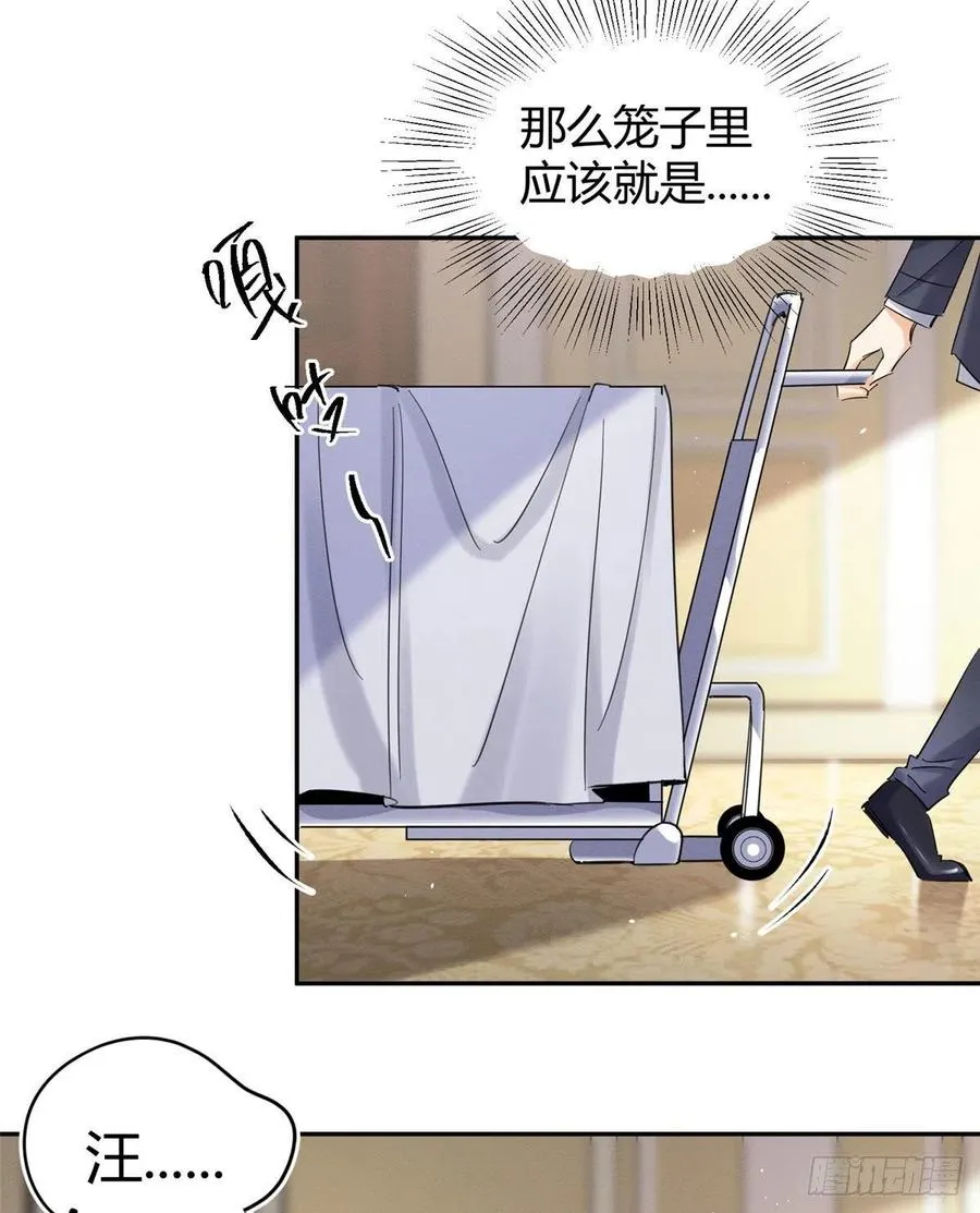 47坏女人！ 第12页