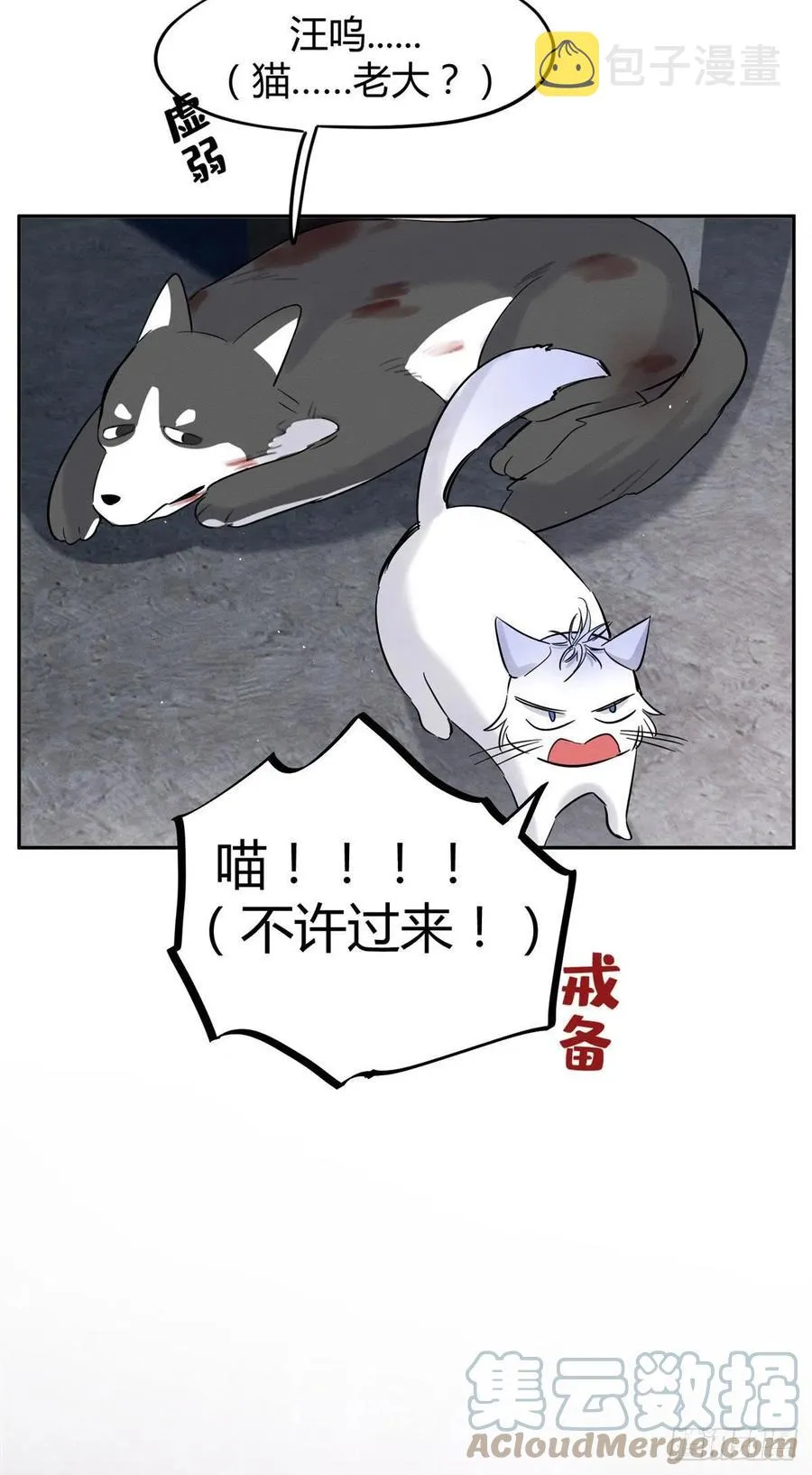 47坏女人！ 第52页