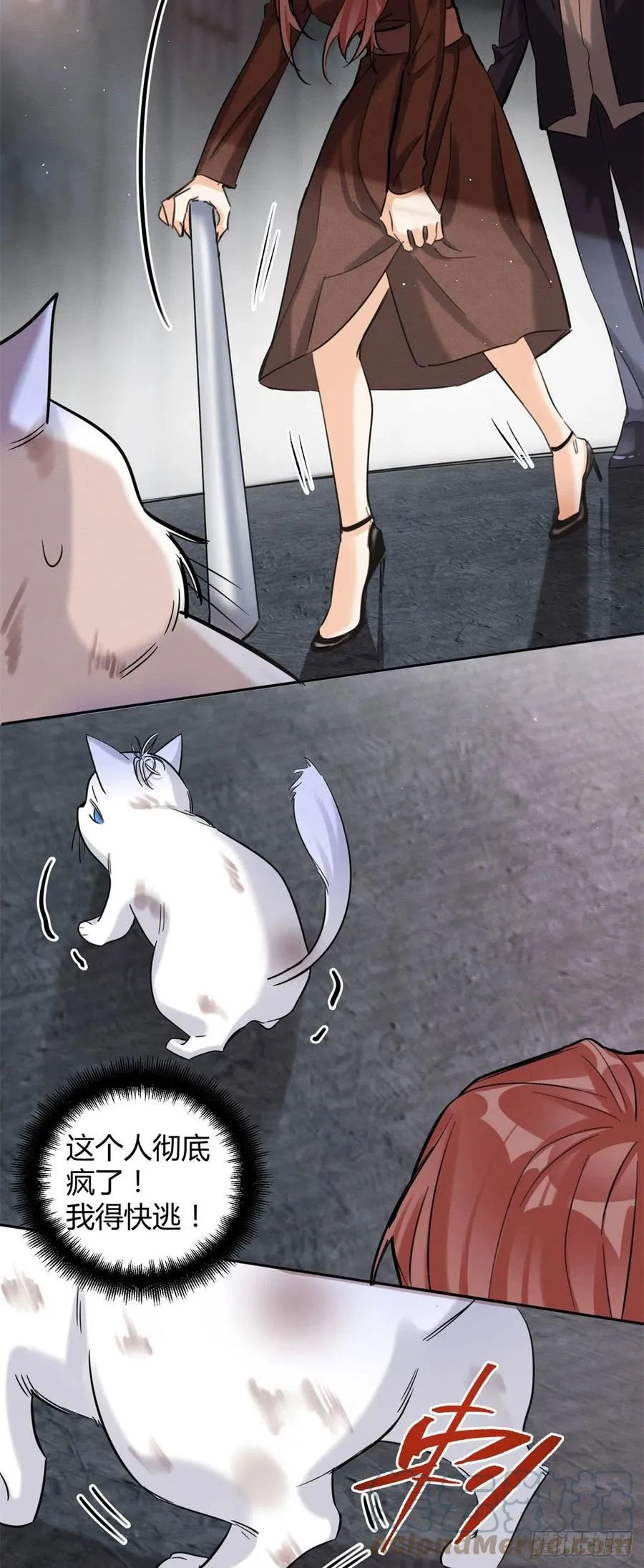 48英雄救猫狗 第13页