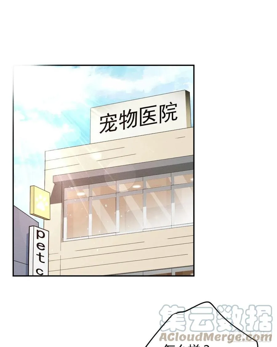 48英雄救猫狗 第33页