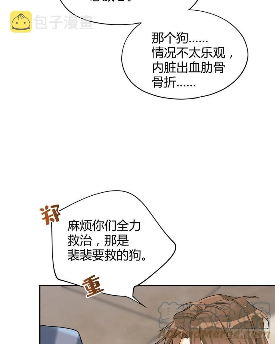 48英雄救猫狗 第35页
