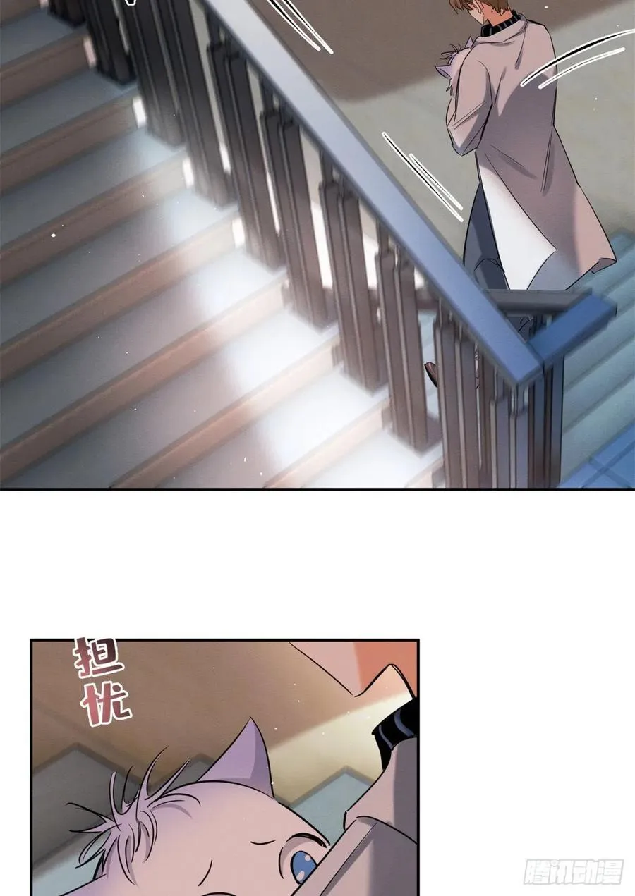 50 地震 第29页