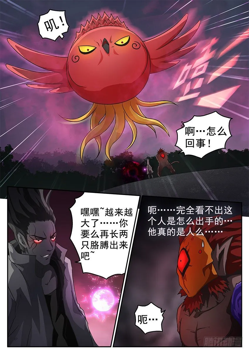 喂鸟 第7页
