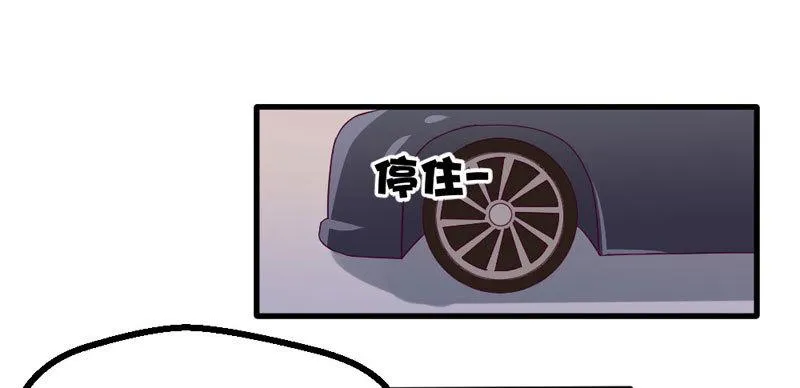 柯总的另一身份 第54页