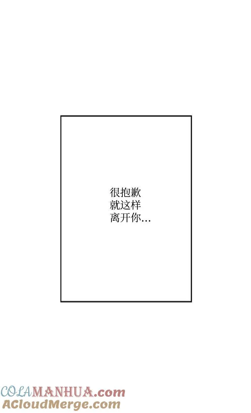 79 我愿意为爱放手 第67页