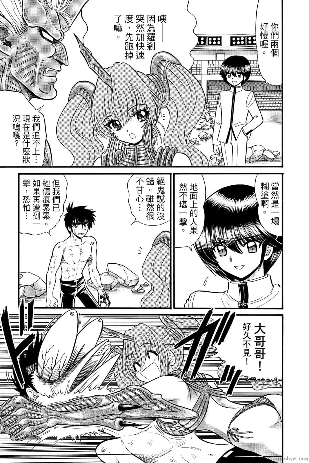 第17卷 第106页
