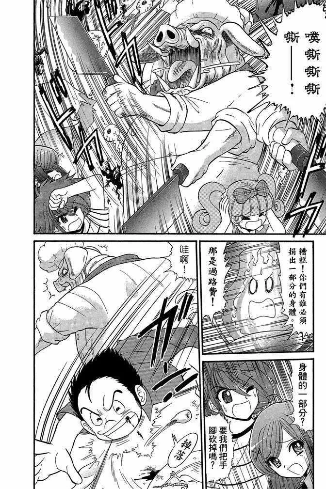 第13卷 第119页