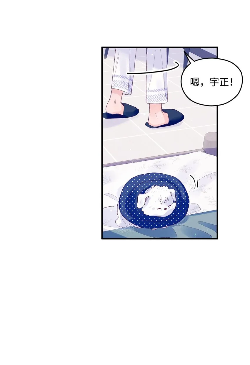 19 是喜欢吗？ 第44页
