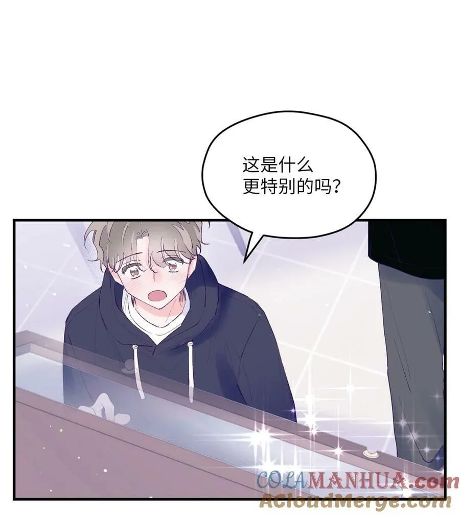 41 校庆 第4页