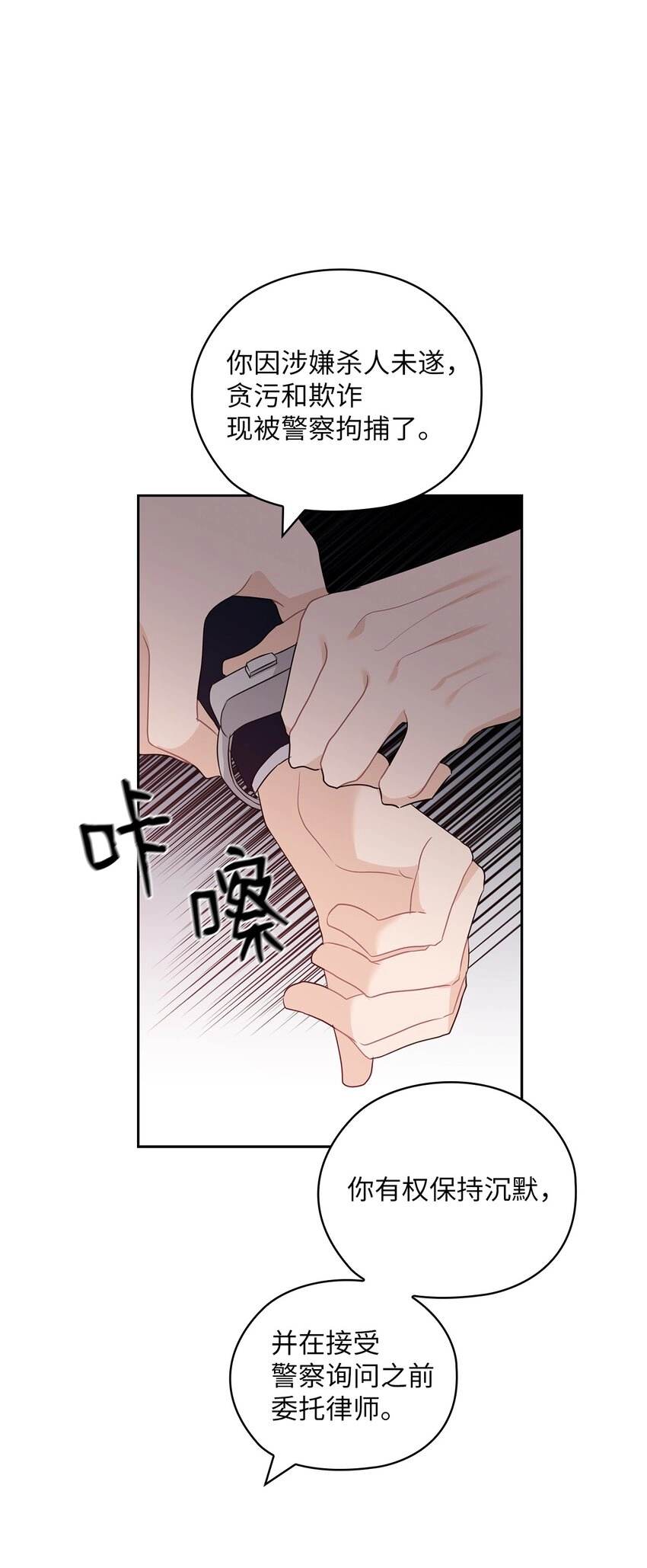51 拘捕 第47页