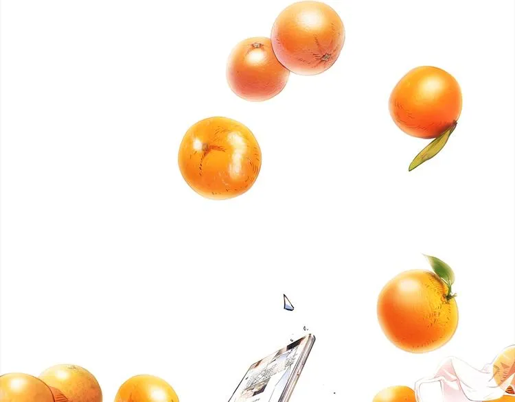 第44话 飞翔 第205页