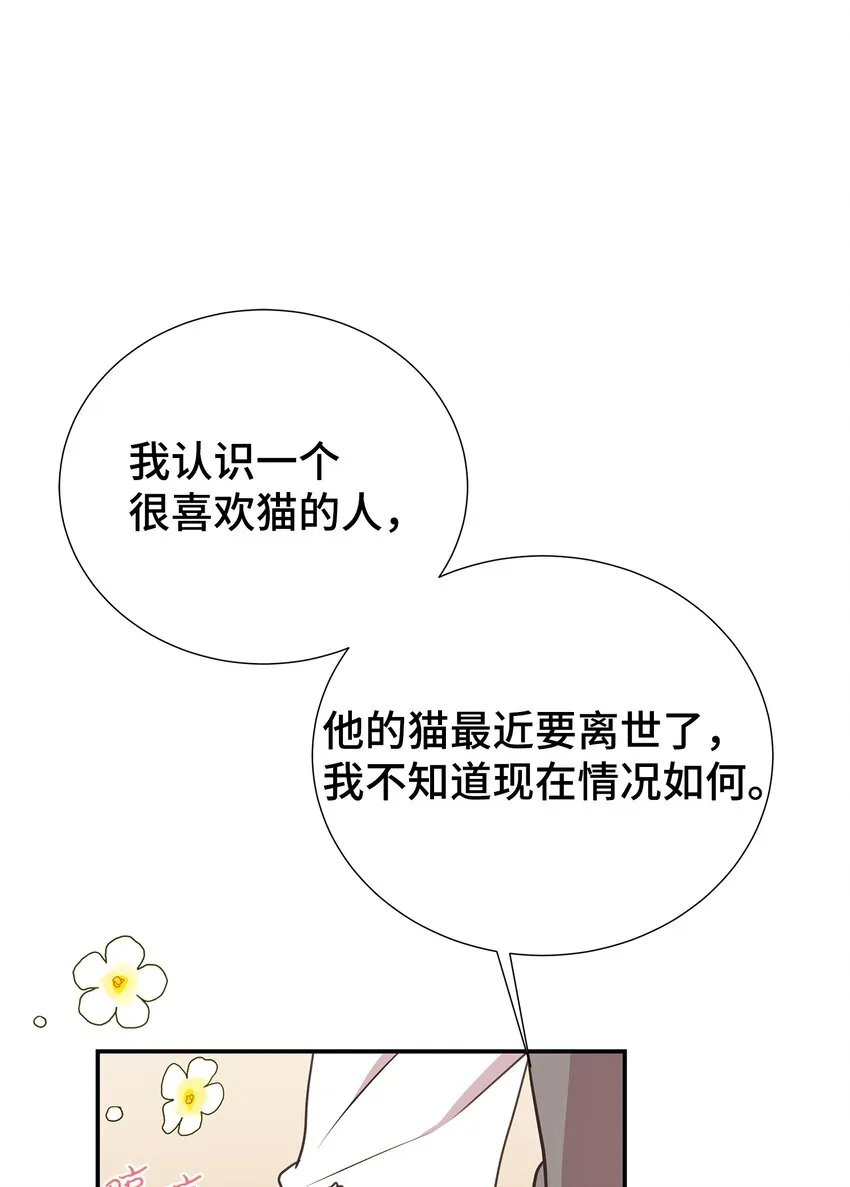 24 丈母娘见女婿 第45页
