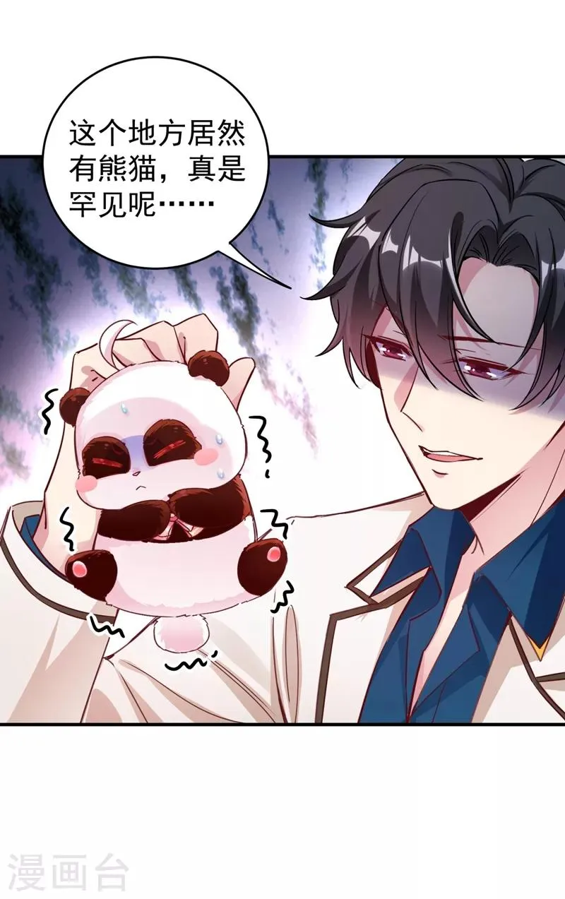 现代篇26 没…没见过熊猫玩偶啊 第2页
