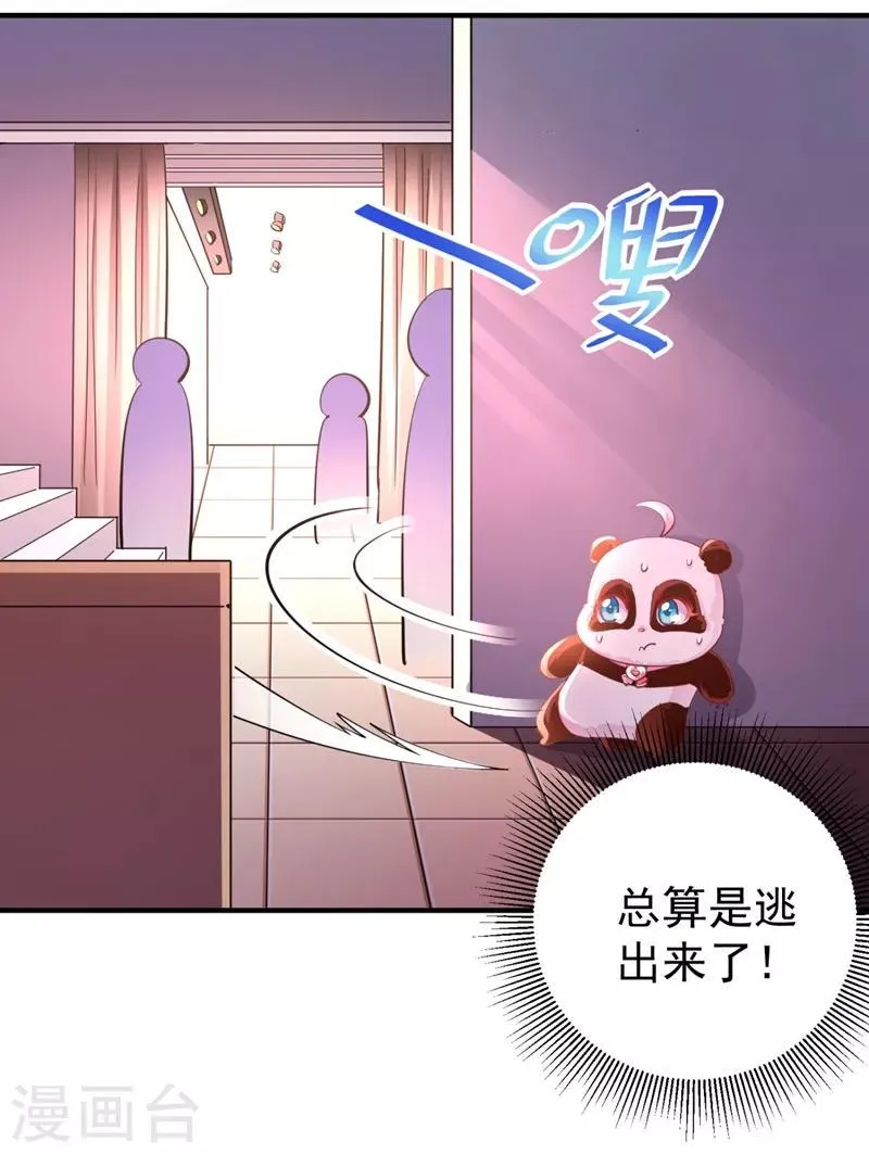 现代篇27 来人啊，熊猫说话啦！ 第9页