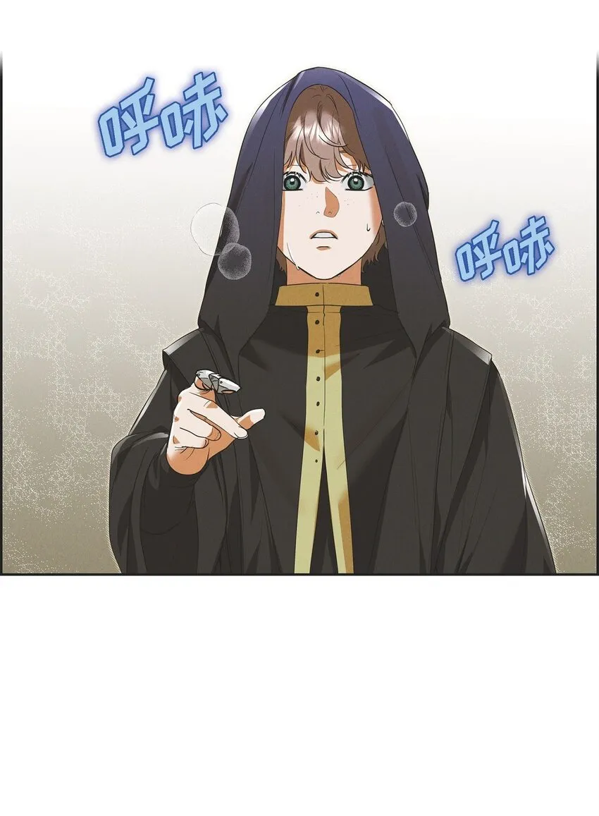 27 完美的演出 第66页
