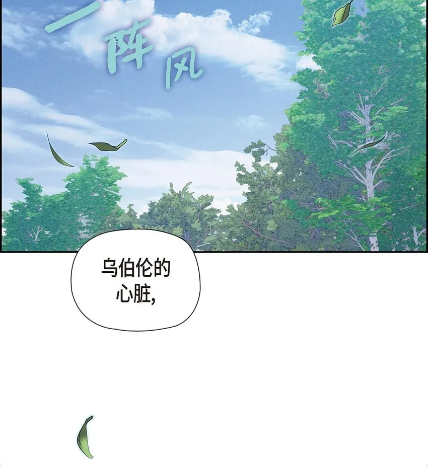 19 阿玛顿 第9页