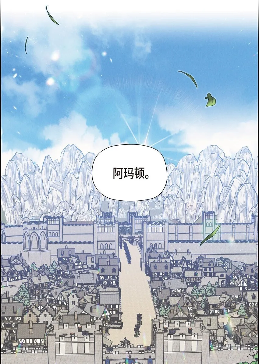 19 阿玛顿 第10页