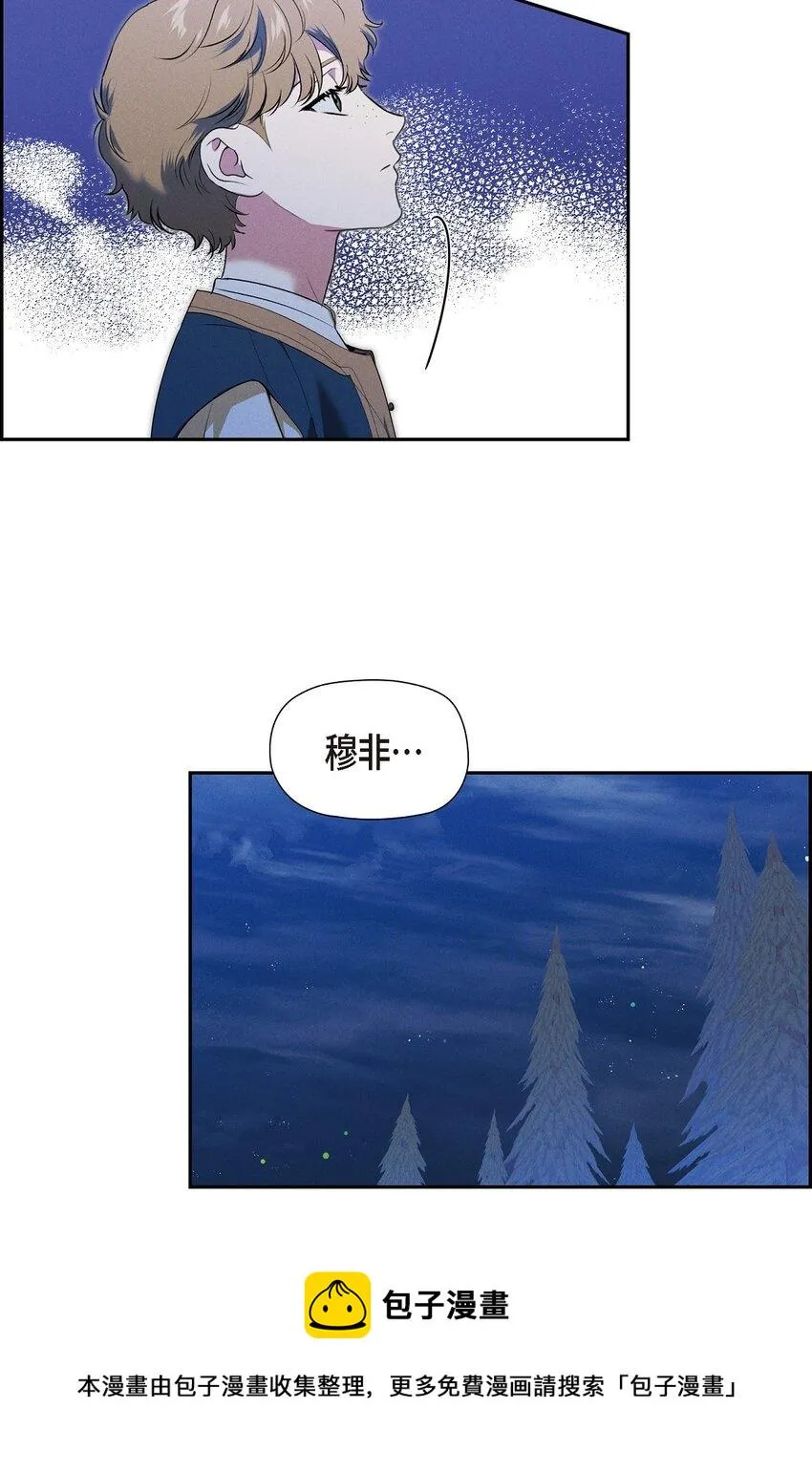 19 阿玛顿 第50页