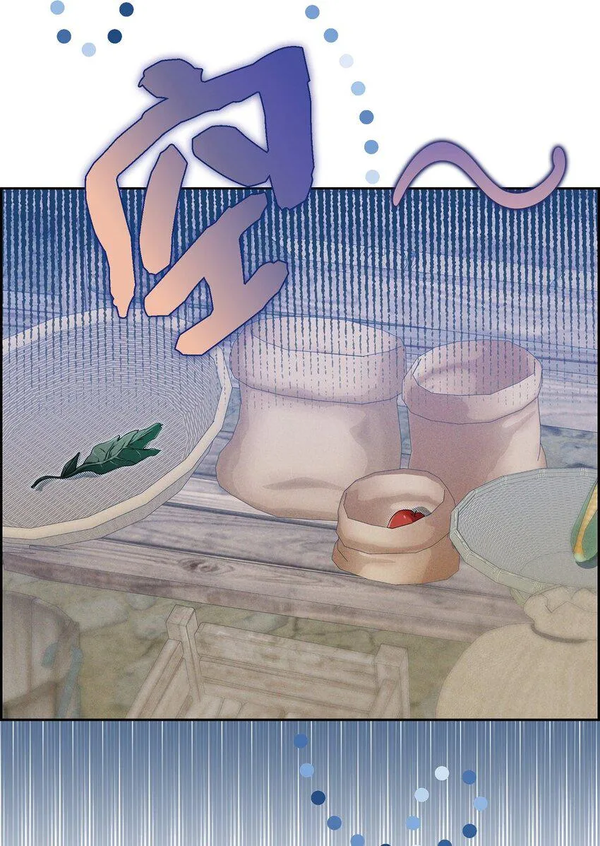 13 入城 第13页