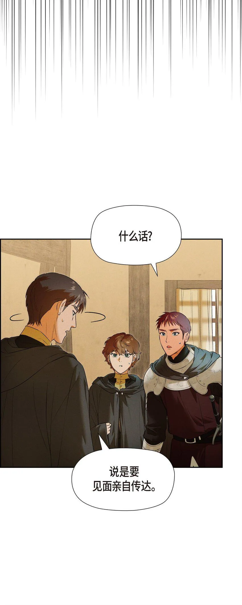 13 入城 第49页