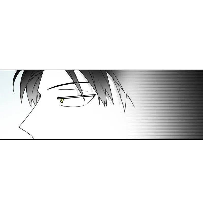 53 互相調查 第17页