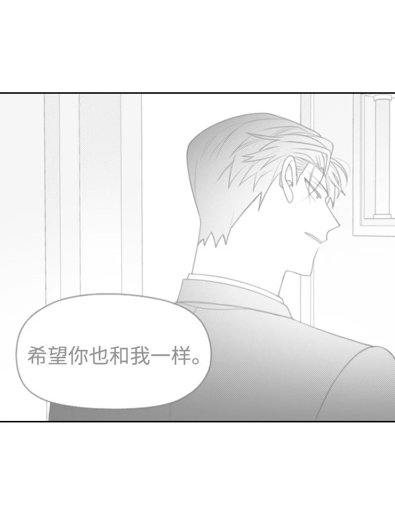 65 排查計劃 第41页