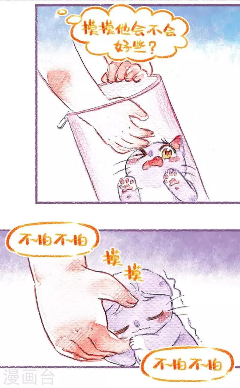 第17话 “偷渡”怕丢 第12页