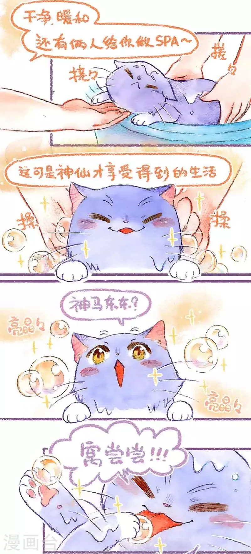 第39话 喵生第一洗 第11页