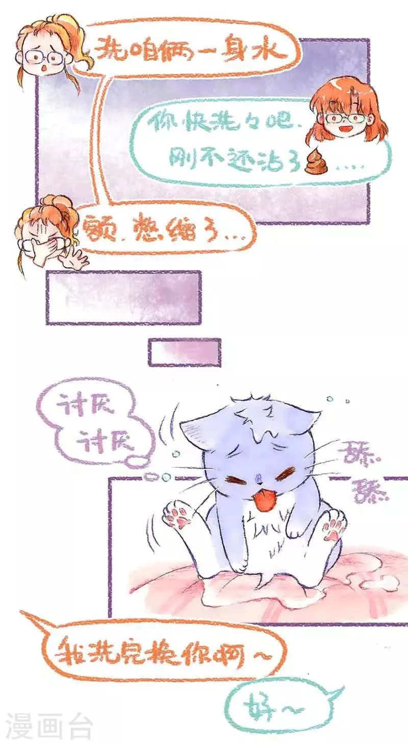 第39话 喵生第一洗 第14页