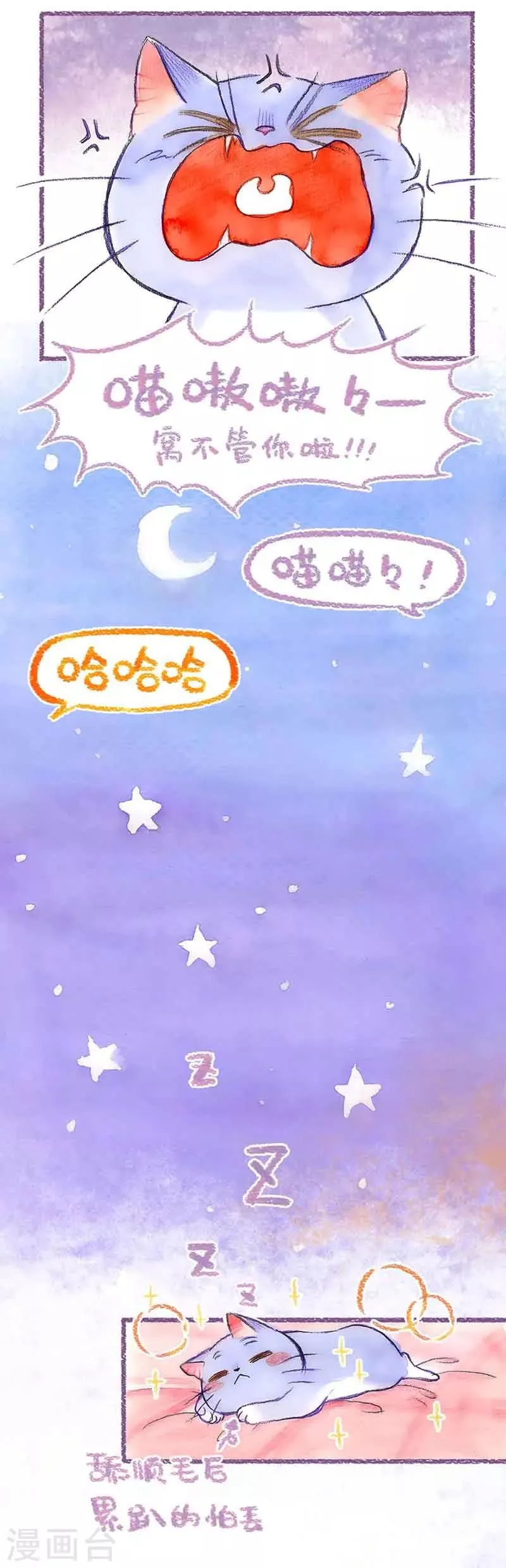 第39话 喵生第一洗 第17页