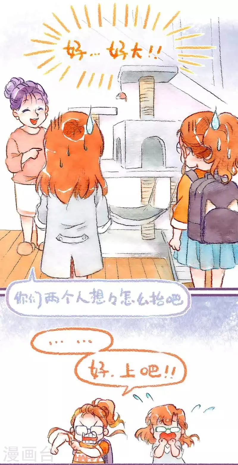 第40话 添大件儿 第6页