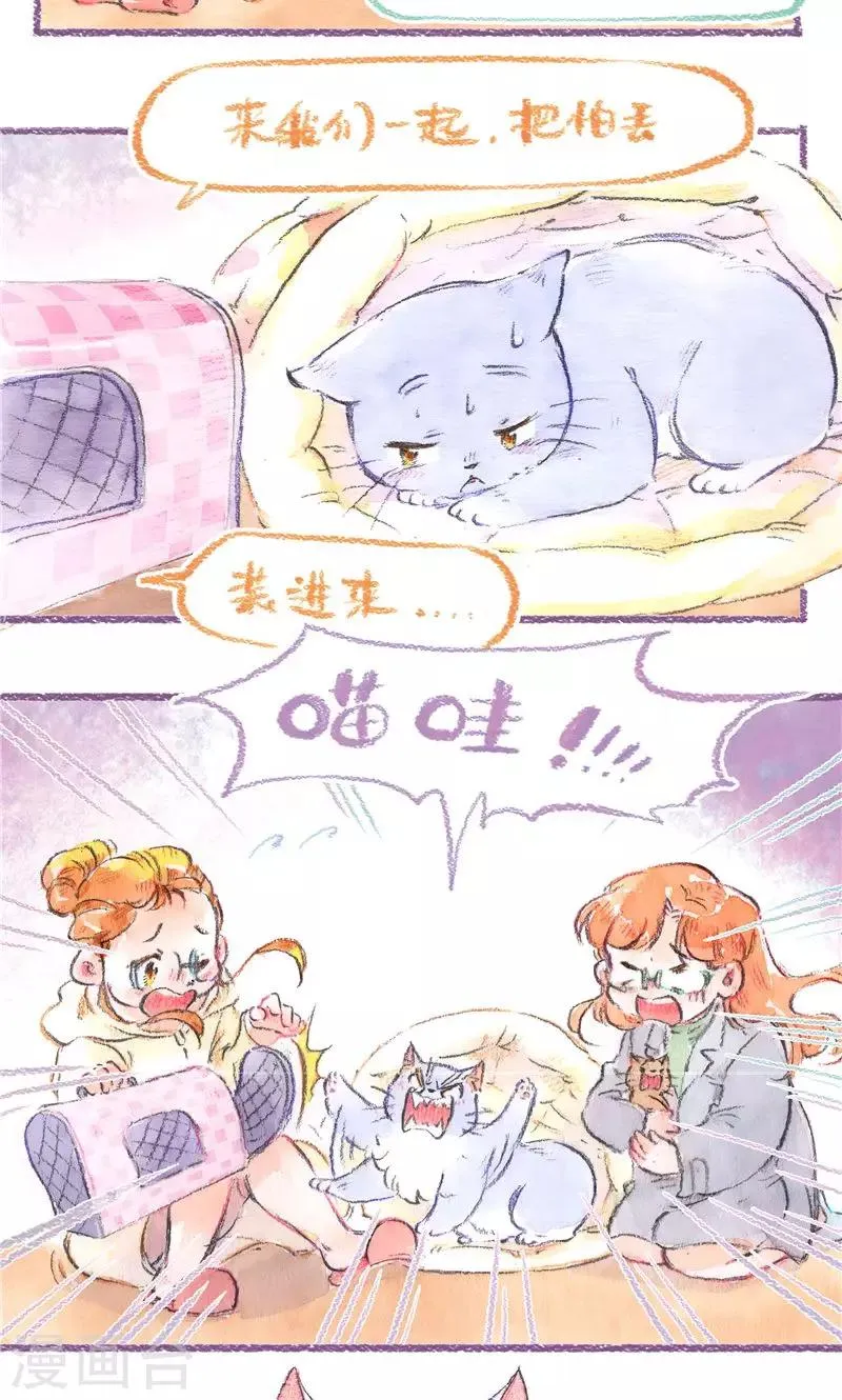 最终话 初雪 第12页